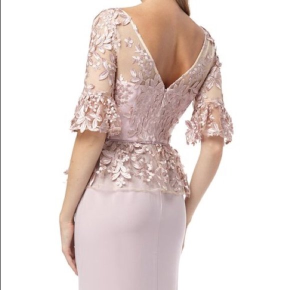 NWT JS Collections Pink Lace Illusion Neck Gown 4 small blush long Formal - Picture 6 of 13